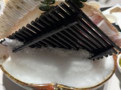 -红鼎豆捞·非遗鲍皇汤火锅(宝丰路店)