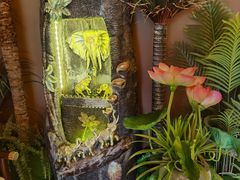 -泰迦·正宗泰式按摩SPA(东城店)
