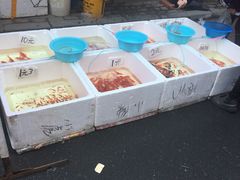 -哈尔滨道外花鸟鱼市场