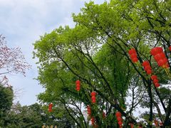 -广州市白云山风景名胜区