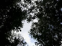 -伏羲大峡谷