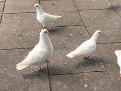-南昌动物园