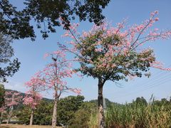 -中国移动南方基地