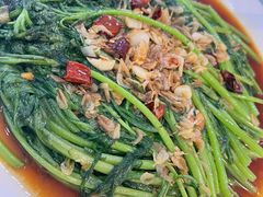 虾米煎茼蒿-河南食府(人民路店)