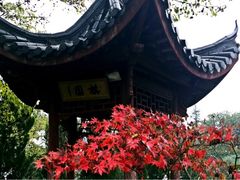 upload_pic-大明山自然探索公园