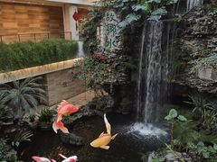 -白天鹅宾馆-宏图府餐厅