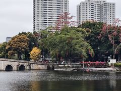 -荔湾湖公园