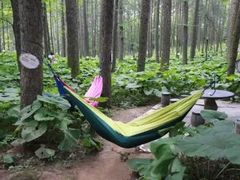 -洛阳白云山景区