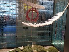 -琬苑鸽庄·川粤融合菜(解放碑总店)