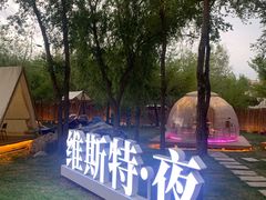 -维斯特·夜烤牛肋条任吃