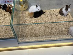 -万达广场(北京槐房店)