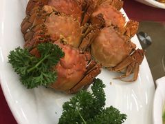 -好吉祥大酒楼