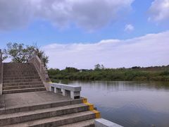 -杭州湾海上花田景区