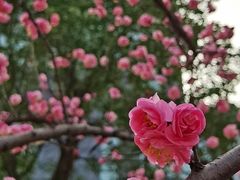 -杭州城北体育公园