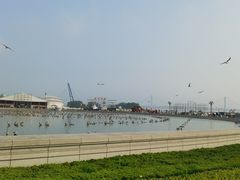 -星海广场