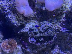 -大连老虎滩海洋公园