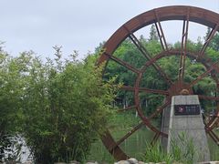 -洋湖国家湿地公园