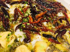 酸菜鲈鱼-江渔儿酸菜鱼(东二环泰禾店)