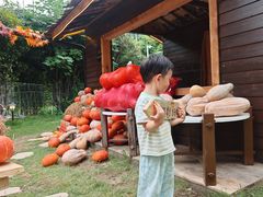 -HERRE·FARM 赫尔露营农场·团建聚会包场