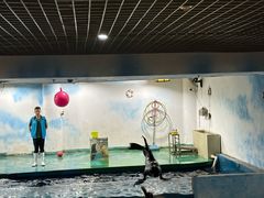-嘉兴海底世界