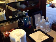 -新加坡瑞士史丹福酒店