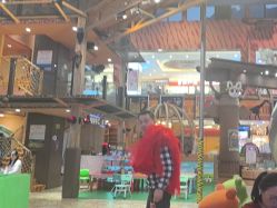 -卡通尼·Safari非洲探索乐园·生日会(金桥国际商业广场店)