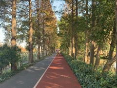 -上海长兴岛郊野公园