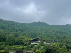 -桃花岭景区
