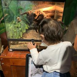 -酷嗒动物文化乐园(cutezoo西溪乐天城店)