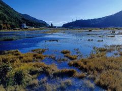-腾冲北海湿地