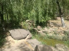 -青城公园