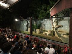 -清迈夜间动物园