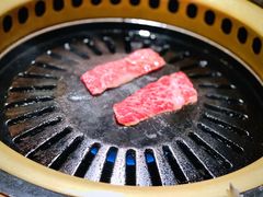 特上等横隔膜-炼火烤肉店