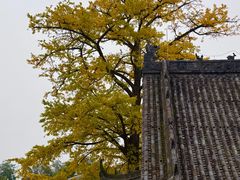 -金堂县云顶石城风景区