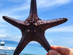 -三亚西岛海洋文化旅游区