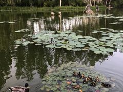 -城市运动公园(未央区)