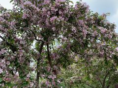 -元大都城垣遗址公园