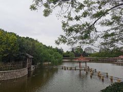 -北岭山森林公园