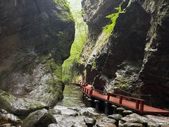 -牛背梁国家森林公园