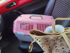 -沐沐家宠物(成寿寺店)