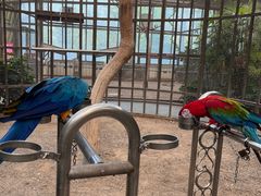 -南宫五洲植物乐园