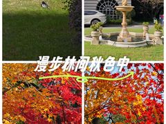-上海瑞金洲际酒店