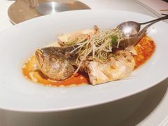 -顺峰·粤菜海鲜·早茶自助(阜成店)