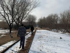 -永定河休闲森林公园