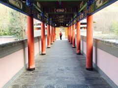 -西安大兴汤院遗址公园