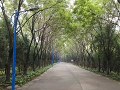 -森林公园(尖草坪区)
