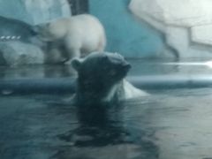 -泉城欧乐堡海洋极地世界