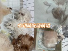 -昆山招商花园城