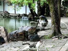 -西园戒幢律寺