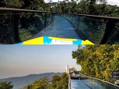 -亚龙湾热带天堂森林公园